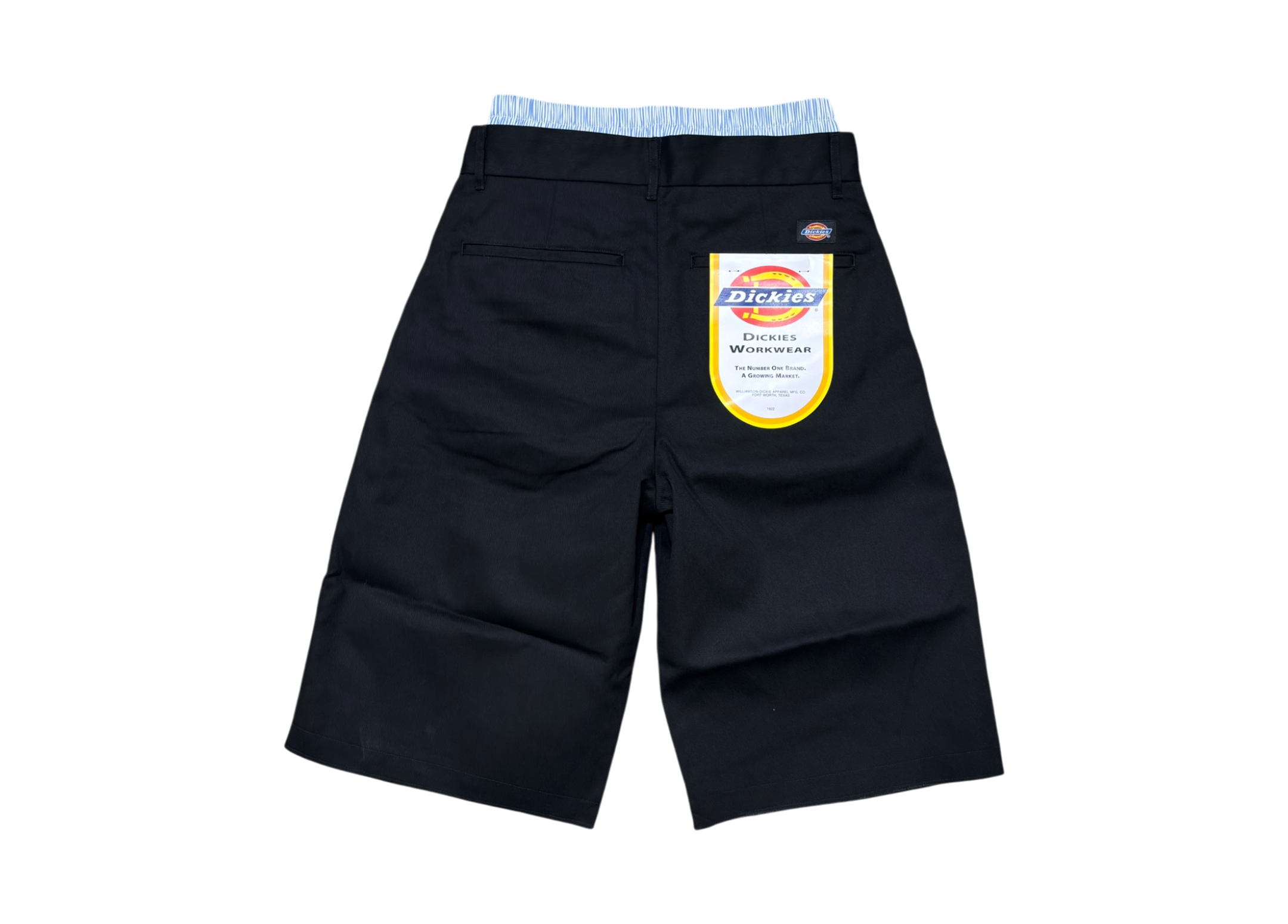Camphor Wood Dickies Shorts Layered Cut Chino Azure COND NEW
