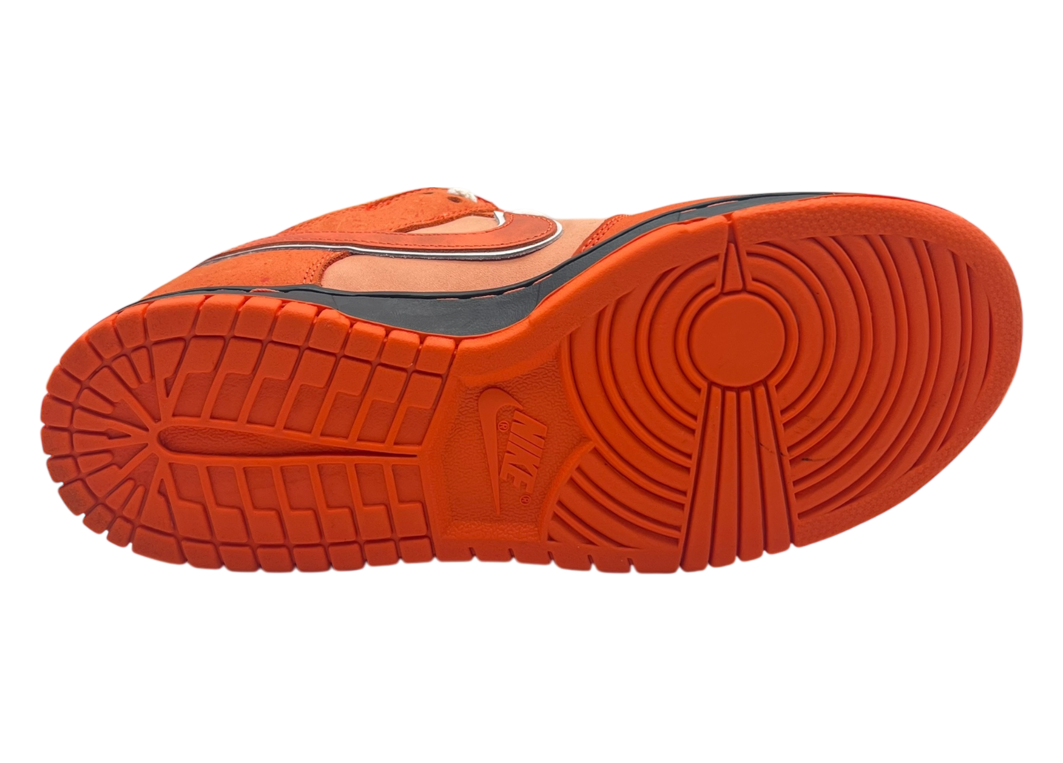 Dunk Low SB Orange Lobster COND 9.8/10 (OG ALL)