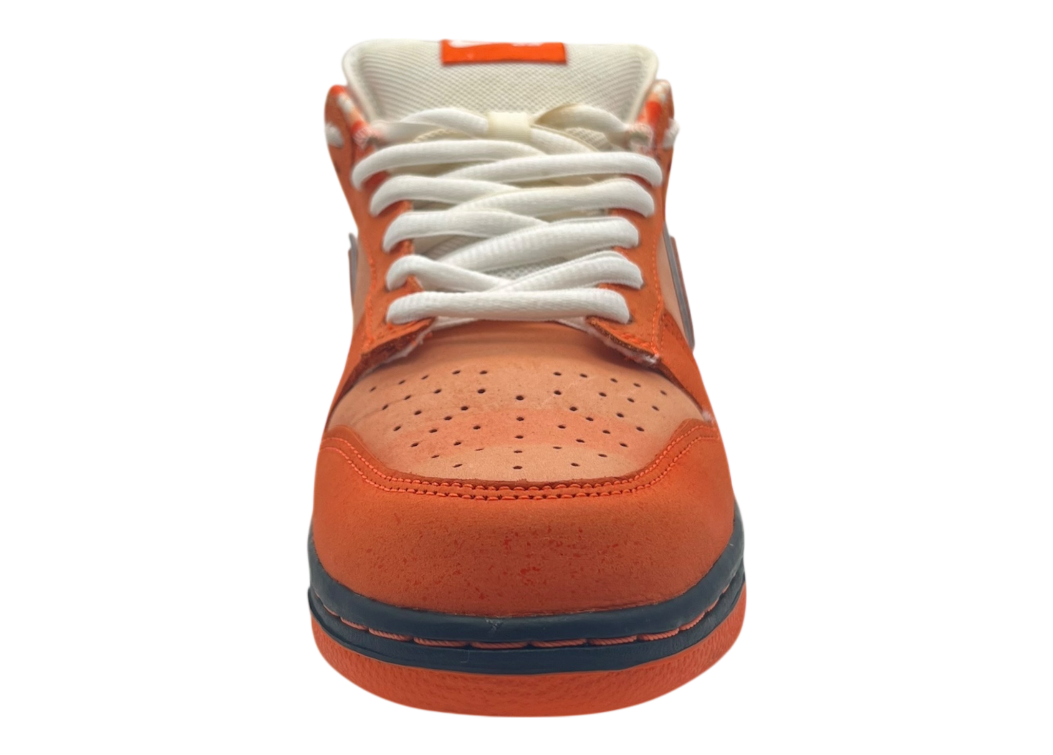 Dunk Low SB Orange Lobster COND 9.8/10 (OG ALL)