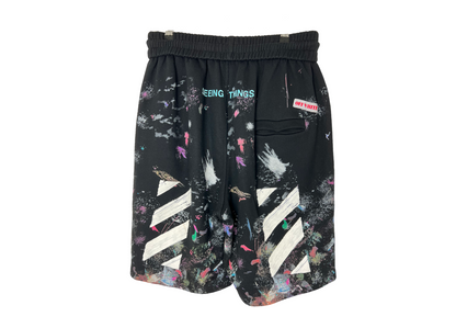 Off-White Galaxy Shorts COND 9.5/10