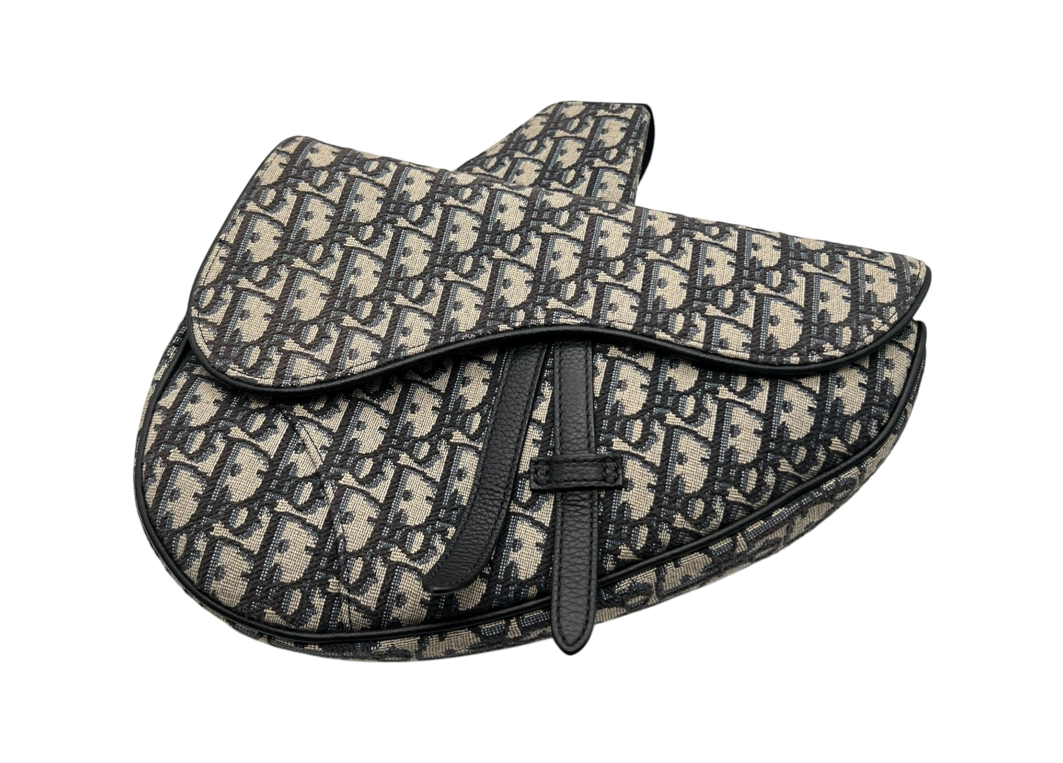 Dior Saddle COND 9.5/10