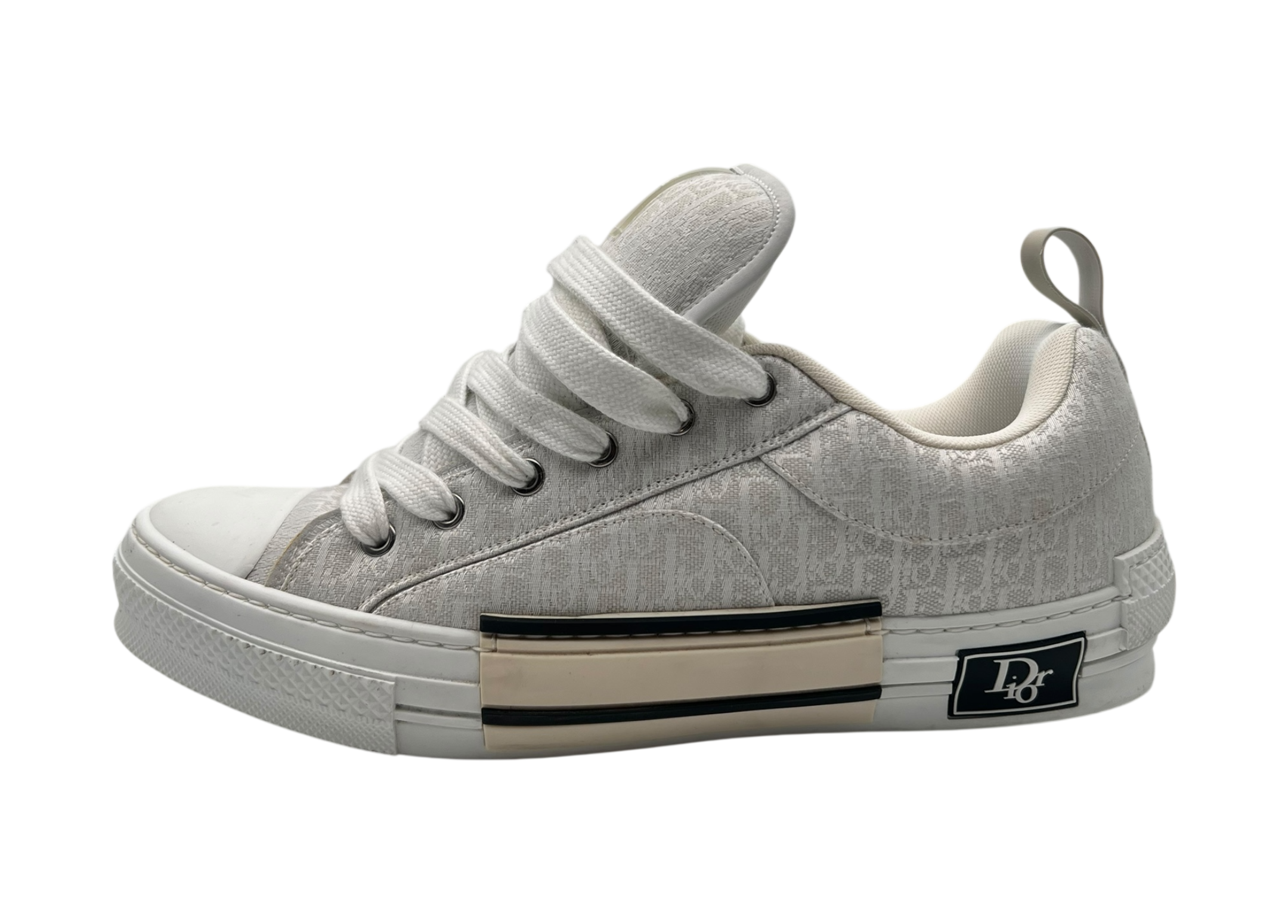 Dior B23 Skater Canvas COND 9/10 (OG ALL)