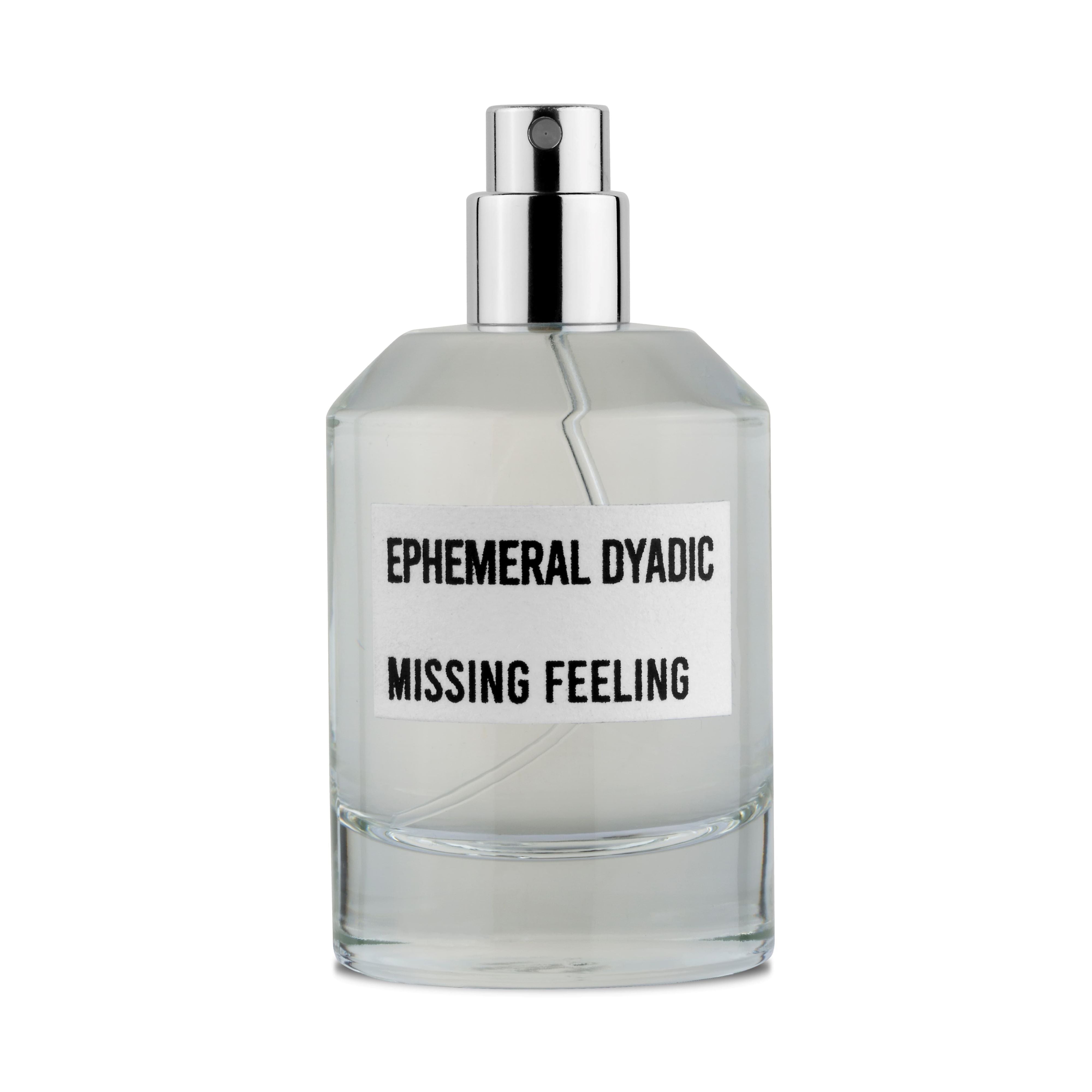 Ephemeral Dyadic Missing Feeling